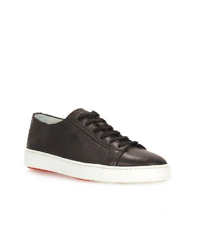 Shop Santoni Brown Leather Sneaker In Black