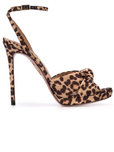 Shop Aquazzura Brown Women's Leopard Print Sandals