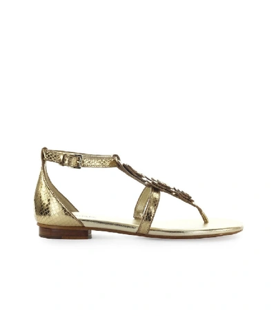 Shop Michael Kors Felicity Pale Gold Thong Sandal In Neutrals