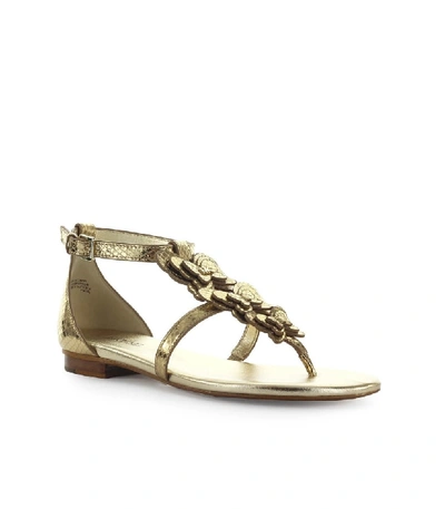 Shop Michael Kors Felicity Pale Gold Thong Sandal In Neutrals