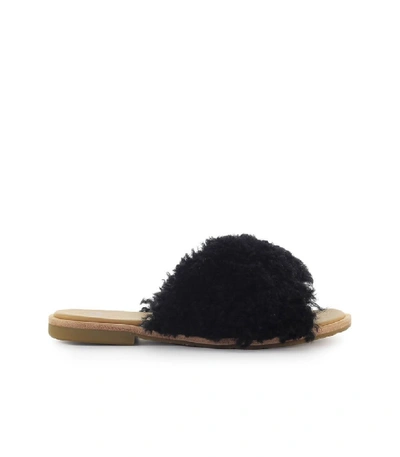 Shop Ugg Joni Black Slide