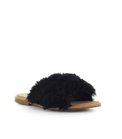 Shop Ugg Joni Black Slide