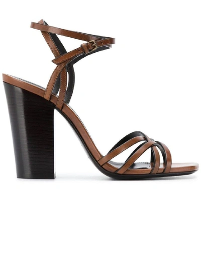 Shop Saint Laurent Brown Women's Oak Crisscross Sandals In Black