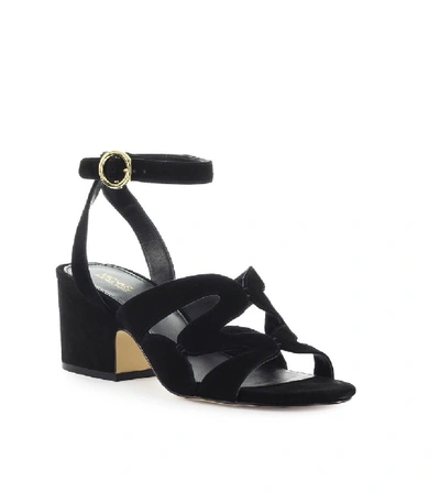 Shop Michael Kors Annalee Mid Black Suede Sandal