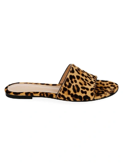 Shop Gianvito Rossi Brown Women's Leopard Slide Sandals In Black