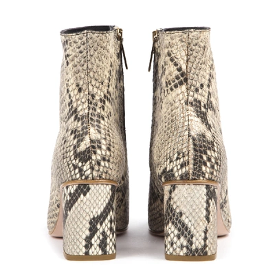 Shop Red Valentino Snakeskin-effect Rock Color Leather Ankle Boots In Neutrals