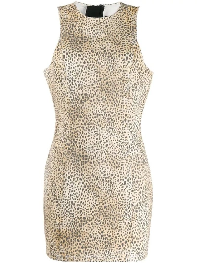 Shop Alexander Wang Brown Women's Cheetah Print Dress In Neutrals