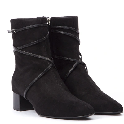 Shop Giuseppe Zanotti Prue Black Suede Ankle Boots