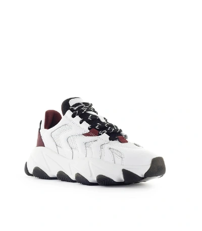 Shop Ash Extreme White Burgundy Sneaker