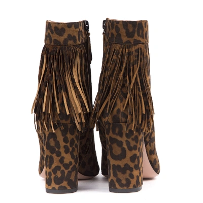 Shop Aquazzura Leopard Suede Leather Ankle Boots In Black
