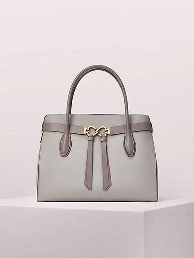 Shop Kate Spade Toujours Large Satchel In True Taupe Multi
