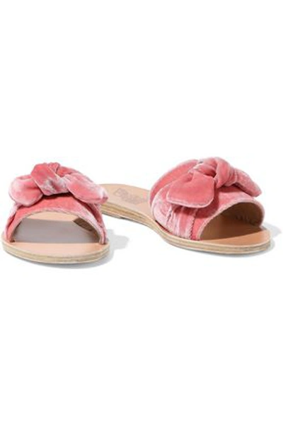 Shop Ancient Greek Sandals Taygete Bow-embellished Velvet Slides In Pink