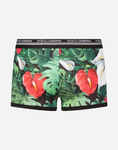 Shop Dolce & Gabbana Cotton Jersey Boxers With Anthurium Print In Floral Print