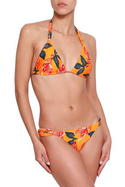 Shop Vix Paula Hermanny Floral-print Low-rise Bikini Briefs In Orange