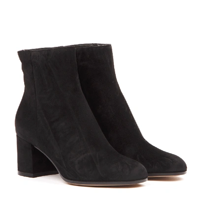 Shop Gianvito Rossi Black Suede Ankle Boots Fw 2019 <br>
