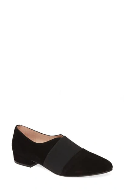 Shop Patricia Green Aynsley Loafer In Black Suede
