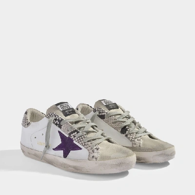 Shop Golden Goose Superstar Trainers In White Leather With Snake Details And Purple Star