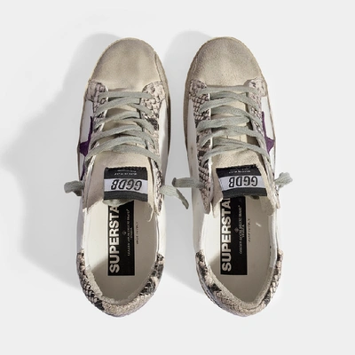Shop Golden Goose Superstar Sneakers In White Leather With Snake Details And Purple Star