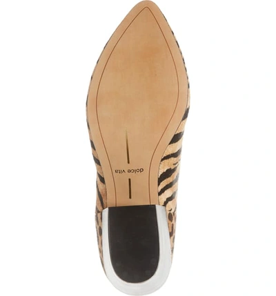 Shop Dolce Vita Coltyn Bootie In Tiger Print