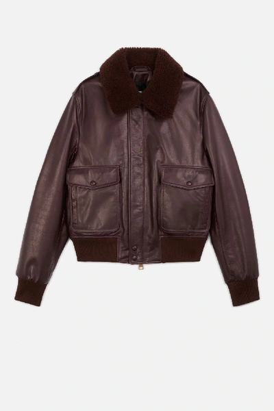 Shop Ami Alexandre Mattiussi Shearling Grained Leather Jacket In Brown