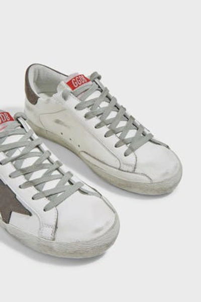 Shop Golden Goose Superstar Leather Trainers In White