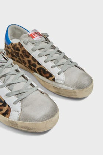 Shop Golden Goose Superstar Animal-print Trainers