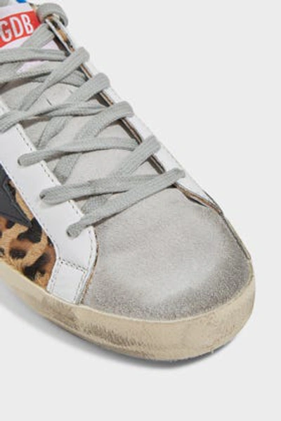 Shop Golden Goose Superstar Animal-print Trainers