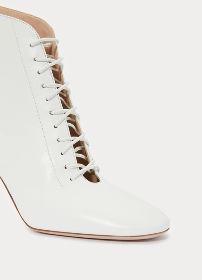 Shop Miu Miu Laced Ankle Boots In Bianco
