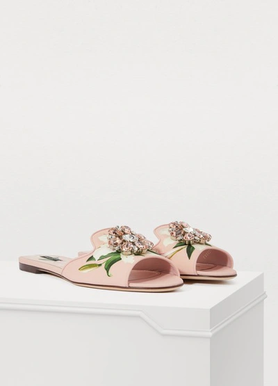 Shop Dolce & Gabbana Leather Mules In Gligli Fdo.rosa