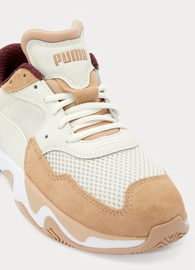 Puma Trainers In Nougat/whisp ModeSens