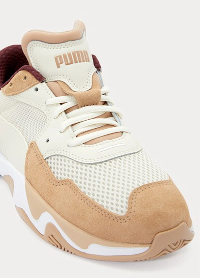 Puma Storm Origin Trainers In Nougat/whisp | ModeSens