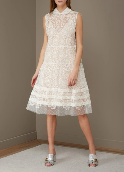 Shop Miu Miu Floral Lace Dress In Off-white