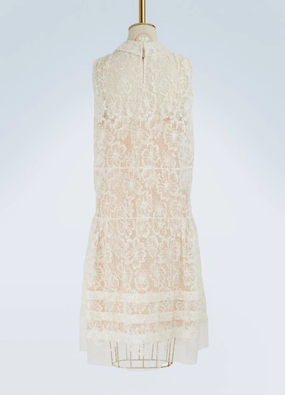 Shop Miu Miu Floral Lace Dress In Off-white