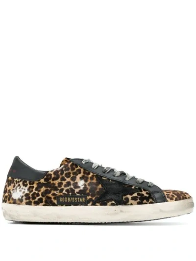 Shop Golden Goose Leopard Pattern Superstar Sneakers In Neutrals