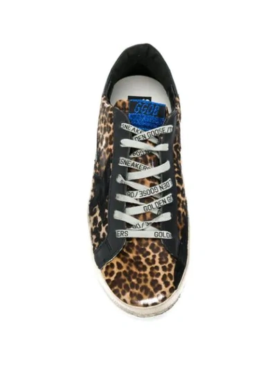 Shop Golden Goose Leopard Pattern Superstar Sneakers In Neutrals