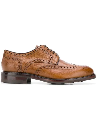 Shop Berwick Shoes Lace In Brown