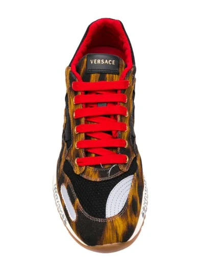 Shop Versace Anamalier Achilles Sneakers In Brown