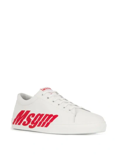 Shop Msgm Contrast Logo Sneakers In White