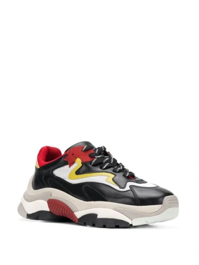 Shop Ash Addict Sneakers In Black