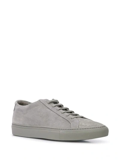 Shop Common Projects Low-top Sneakers In Grey