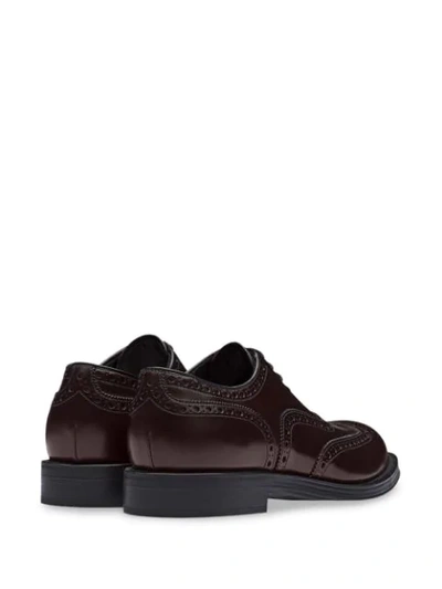 Shop Prada Oxford-style Brogues In Brown