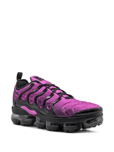 Shop Nike Air Vapormax Plus Sneakers In Pink