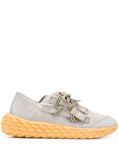 Shop Giuseppe Zanotti Urchin Low-top Sneakers In Grey