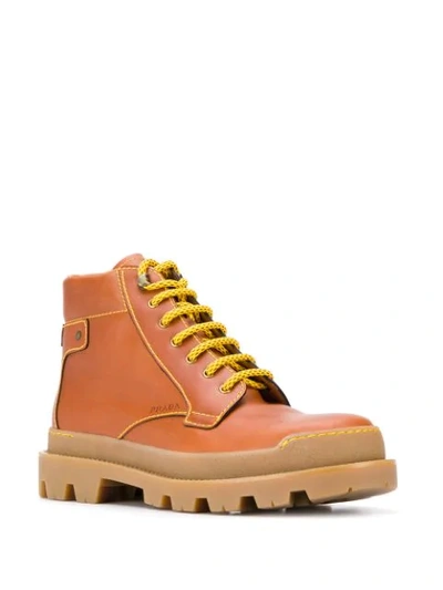 Shop Prada Hiking-style Ankle Boots In Brown