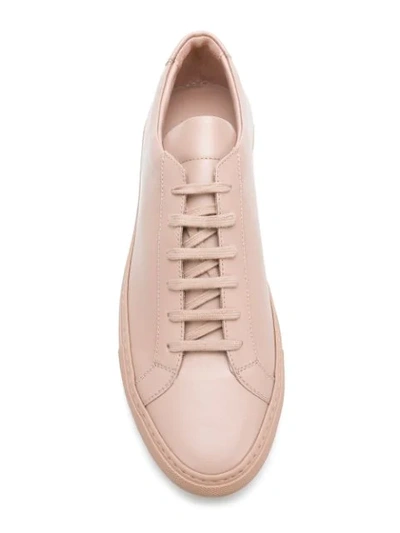 Shop Common Projects Achilles Low Sneakers In Pink