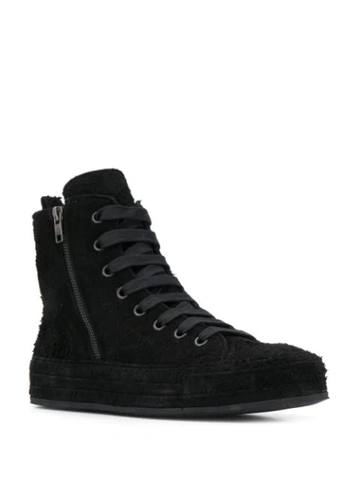 Shop Ann Demeulemeester Scamosciato Hi-top Sneakers In Black