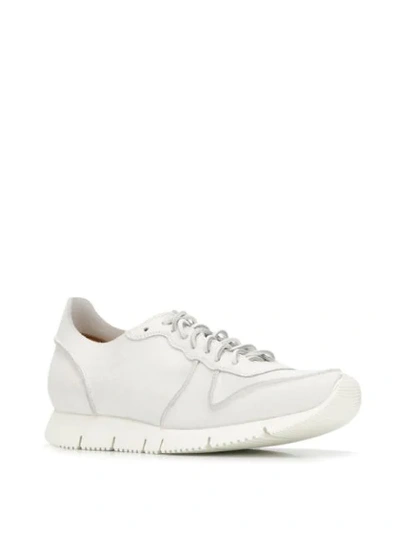 Shop Buttero Low Top Sneakers In White