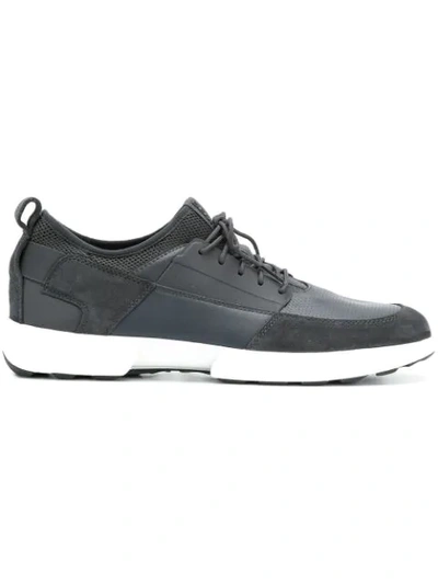 Shop Geox Traccia Sneakers In Grey