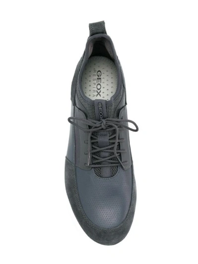 Shop Geox Traccia Sneakers In Grey