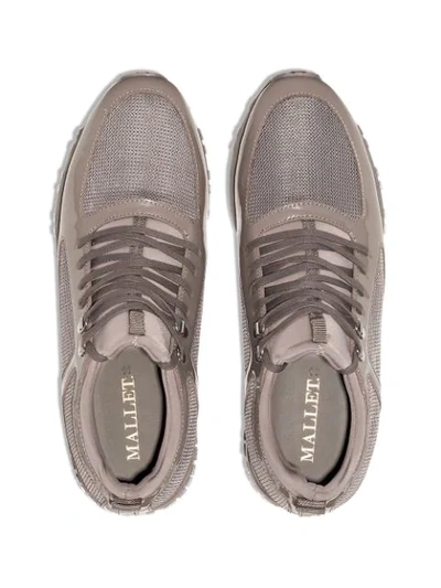 Shop Mallet Footwear Diver Leather Sneakers In Grey